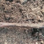 Des ossements de la Grande Guerre découverts à Metzeral, confirmés par des archéologues.