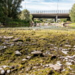 Canicule : 67 départements en vigilance orange, températures jusqu&rsquo;à 42°C attendues.