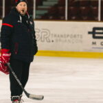 Les effectifs de la Ligue Magnus se finalisent avec des choix stratégiques des clubs.