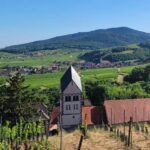 Sélection d&rsquo;événements culturels et sportifs à Obernai – Molsheim ce week-end