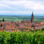 Dambach-la-Ville obtient la deuxième place dans le classement du Village préféré des Français.