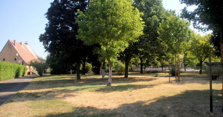 Rouffach : le camping municipal devient une aire d’accueil pour camping-cars.