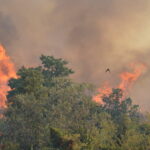 Incendies : 32 interpellés, dont un récidiviste et un tiers de mineurs.