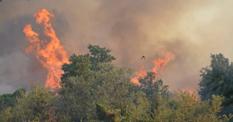 Incendies : 32 interpellés, dont un récidiviste et un tiers de mineurs.