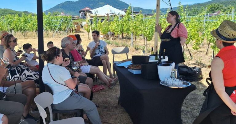 Itterswiller : 600 visiteurs participent à la Tournée des terroirs dans les vignes du Fruehmess.