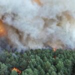 Canicule : l&rsquo;incendie de Fontainebleau persiste, des équipes mobilisées plusieurs jours