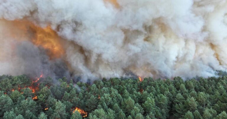 Canicule : l’incendie de Fontainebleau persiste, des équipes mobilisées plusieurs jours