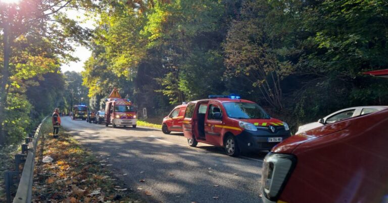Lutzelhouse : un conducteur octogénaire condamné pour un accident mortel.