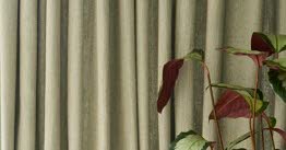 Déco anti-chaleur : sept gestes pour rafraîchir les intérieurs en période de canicule