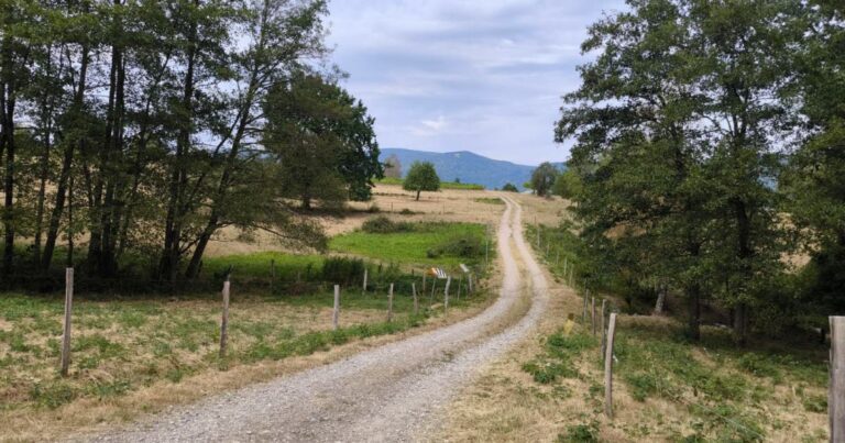 Sentiers adaptés aux poussettes pour découvrir la nature en Vallée de Villé.