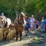 Sélection de sorties culturelles à Obernai et Molsheim ce week-end