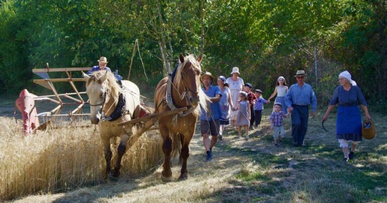 Sélection de sorties culturelles à Obernai et Molsheim ce week-end
