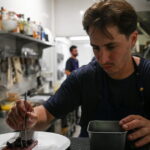 Le restaurant Planque du musée d’Art moderne à Loire allie design et gastronomie.