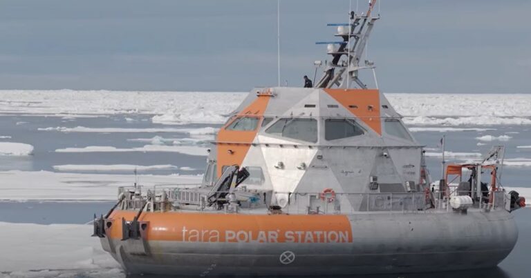 La station polaire Tara se prépare pour des mois de nuit totale en Arctique.