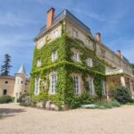 Le festival de cinéma en plein air au château Bellevue attire les amateurs de culture à Rhône.