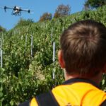 Traitement par drone dans les vignes du Beaujolais : une solution pour les terrains escarpés.