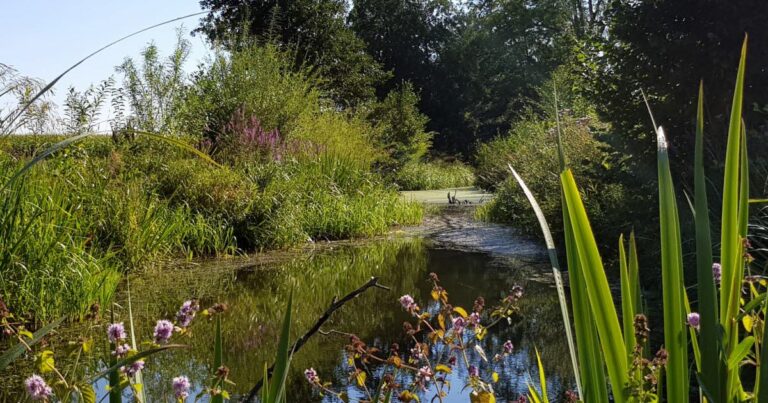 Canton d’Erstein obtient une deuxième étoile au label Territoire engagé en transition écologique