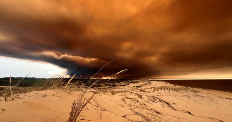 Incendies en Gironde : plus de 19 000 hectares brûlés, le feu menace Bordeaux, Macron mobilise l’armée.