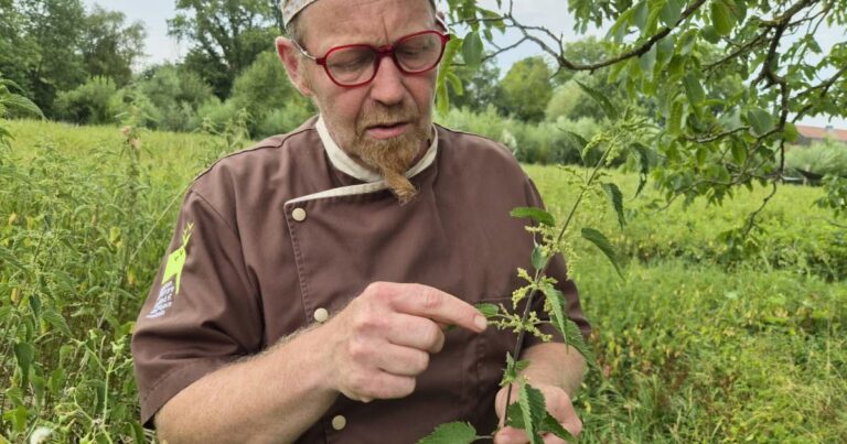 Muttersholtz : Jean-François Dusard, cuisinier engagé pour une gastronomie durable