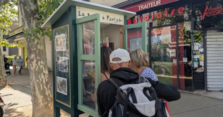 Boîte à livres à Lyon : tensions croissantes entre habitants et usagers dans le quartier.