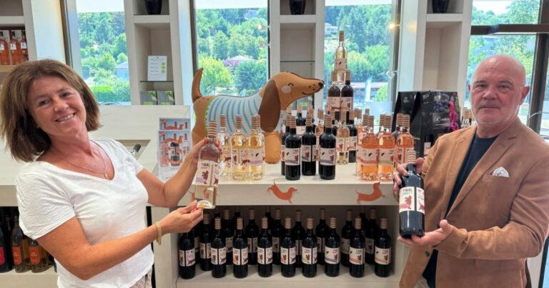 Rhône : un chien star des réseaux sociaux devient l’égérie d’une gamme de vin pour attirer de nouveaux clients.