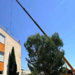 Travaux à l&rsquo;école des Magnolias à Saint-Cyprien pour renforcer la protection contre les intempéries.