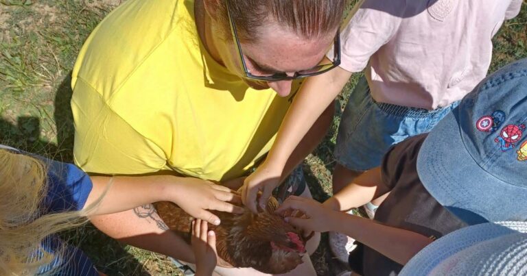Visite de la Hutt’aux animaux à Huttendorf par une trentaine de personnes, témoignages recueillis.