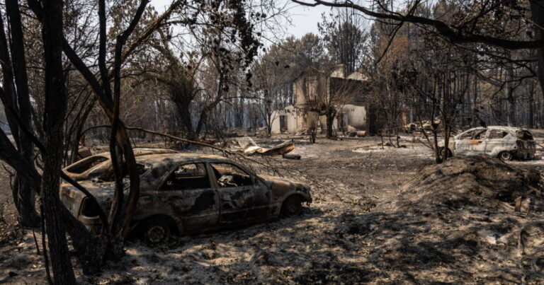 Incendies en France : la Gironde, le Var et la Côte-d’Or touchés par des feux importants.