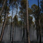 Incendies en Gironde : deux interpellations pour suspicion de mise à feu, pluie attendue.
