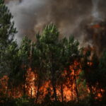 Incendies : dix départements du Centre et de l&rsquo;Est en vigilance orange aux orages