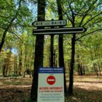 Risque d’incendie : accès interdit à la forêt de Corsuet à Aix-les-Bains