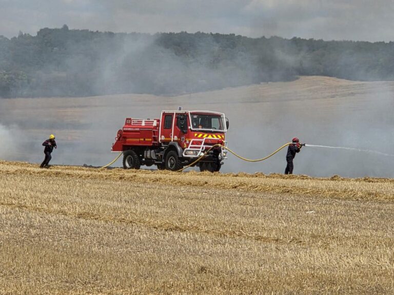 Sécheresse en Charente : les pompiers engagés dans la lutte contre les feux de végétation.