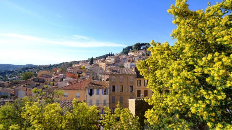 Bormes-les-Mimosas désigné « Village préféré des Français » par Franceinfo en 2026