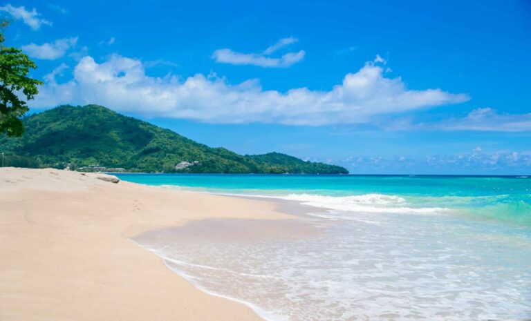 La plage de Polynésie reconnue pour sa beauté exceptionnelle attire les photographes professionnels.