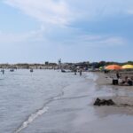 Un dauphin retrouvé mort sur une plage des Saintes-Maries-de-la-Mer, enquête ouverte.