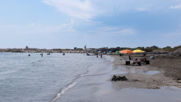 Un dauphin retrouvé mort sur une plage des Saintes-Maries-de-la-Mer, enquête ouverte.
