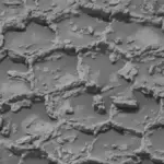 Curiosity découvre un motif naturel inexpliqué ressemblant à un nid d’abeilles sur Mars.