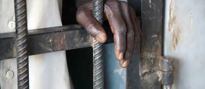 Sénégal : Fils de ministre placé sous mandat de dépôt pour détention de haschich.