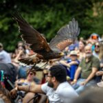 Fête médiévale à La Rochefoucauld : événement majeur de l&rsquo;été en Charente les 18 et 19 juillet.