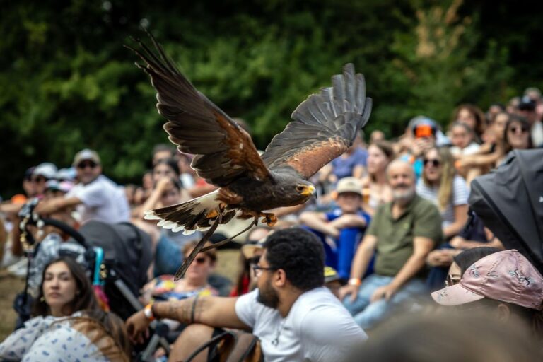 Fête médiévale à La Rochefoucauld : événement majeur de l’été en Charente les 18 et 19 juillet.