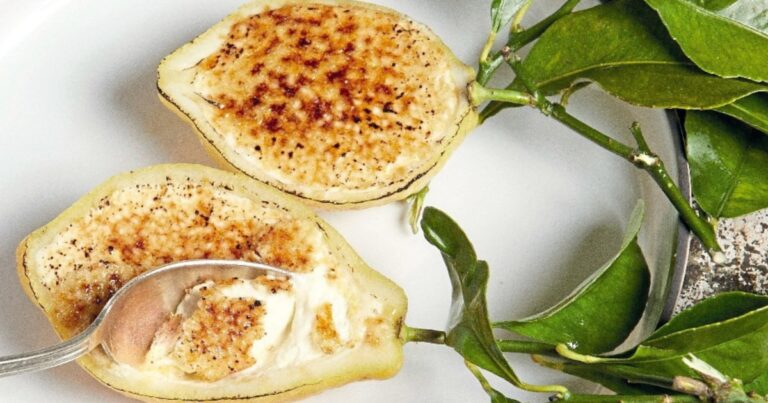 15 recettes de panna cotta pour l’été adaptées aux traditions culinaires italiennes.