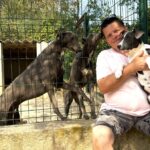 Une cinquantaine de chiens au refuge de l&rsquo;Espérance à Orange attendent une adoption.