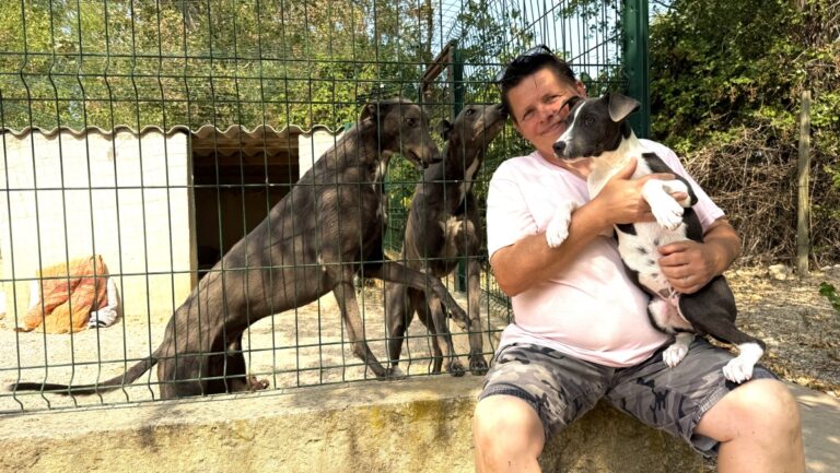 Une cinquantaine de chiens au refuge de l’Espérance à Orange attendent une adoption.