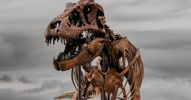 Un squelette de T-Rex vendu plus de 50 millions de dollars devient le plus cher aux enchères.