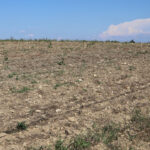 Sécheresse : 43 communes des Alpes-Maritimes soumises à des restrictions d&rsquo;eau.