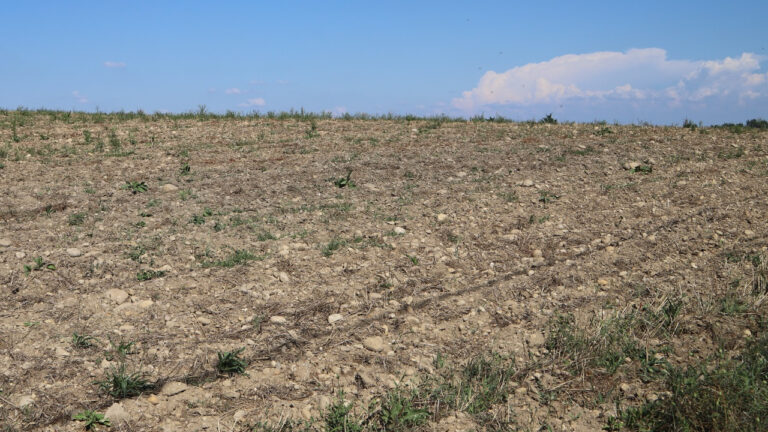 Sécheresse : 43 communes des Alpes-Maritimes soumises à des restrictions d’eau.