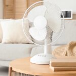 Prix des ventilateurs en hausse de 46 % en France en raison de la canicule.