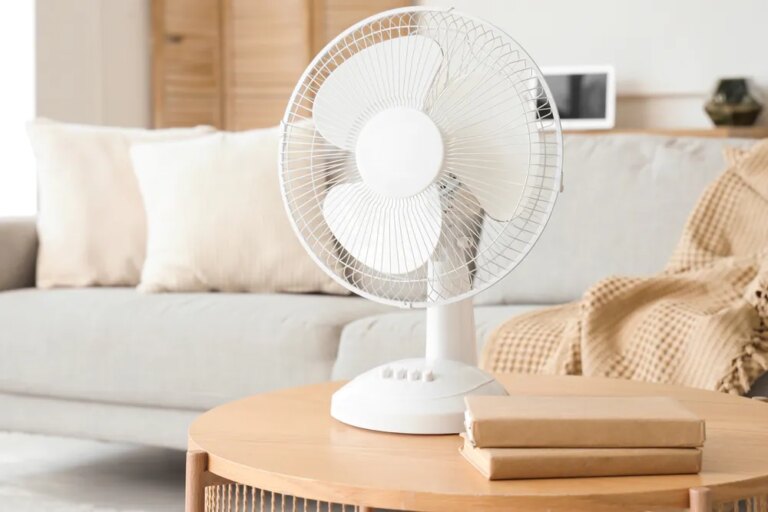 Prix des ventilateurs en hausse de 46 % en France en raison de la canicule.