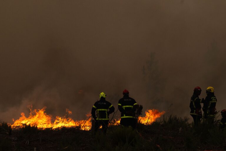 Feux de forêt : Macron annonce des mesures pour la gestion des terres affectées.