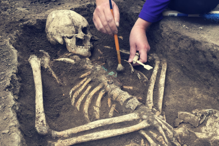 Des chercheurs identifient des caractéristiques inédites dans des ossements vieux de 300 ans.
